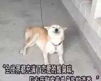  15年过去了,它依然是仙侠剧的巅峰