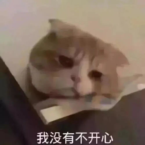 可爱沙雕头像表情包我哭