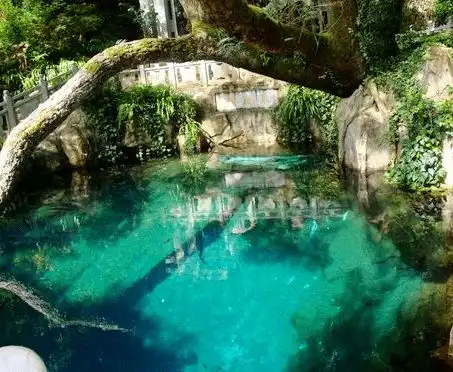 七夕国内适合情侣出游的10大旅游胜地 七夕国内适合情侣出游的10大旅游胜地