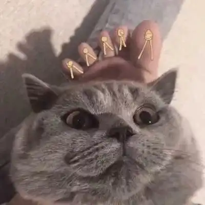 可爱软萌动物情侣头像好看的萌宠情头大全 可爱软萌动物情侣头像好看的萌宠情头大全