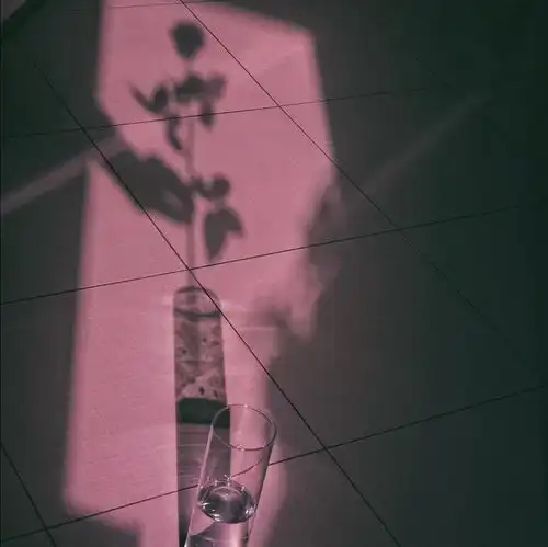  有没有好看的紫色头像呢,超级想要