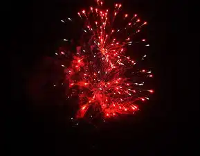  马年到了,带几张烟花图片给好友拜年了