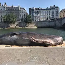  震撼的装置艺术抹香鲸搁浅塞纳河畔