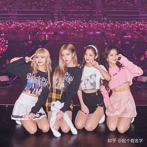  如何分清blackpink的脸