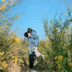  求这套图的高清版