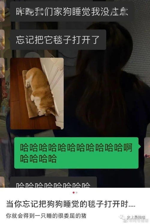  千万别让男票找情侣头像哈哈哈哈哈哈一把子气死过去