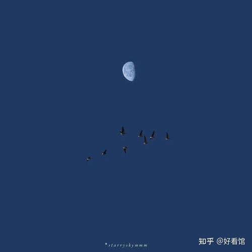  小清新唯美头像小清新简约头像好看又独特的头像微信头像简单漂亮女生头像森系小清新唯美简约温柔头像简单干净小清新头像简约情头黑白文艺极简干净的图片