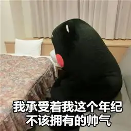  求熊本熊图片