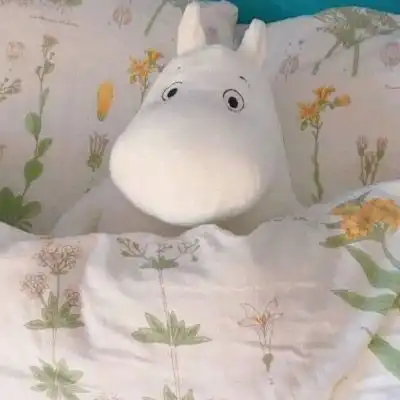 可爱萌物头像图片布娃娃抱抱熊 可爱萌物头像图片布娃娃抱抱熊