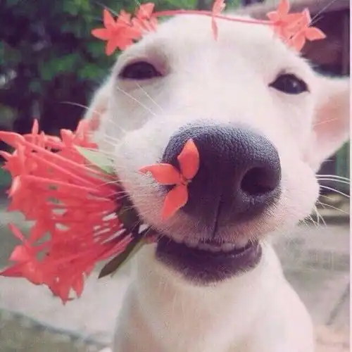  拒绝暧昧