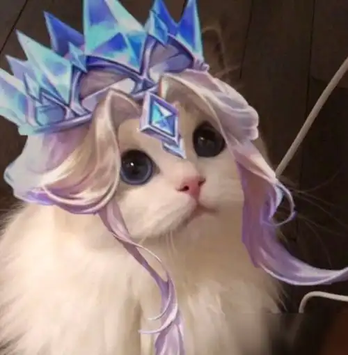 王者荣耀雅典娜猫咪头像怎么得获取技巧分享