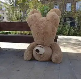  被泰迪熊占领了