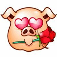  微信头像狗狗超萌超搞笑微信头像图片大全