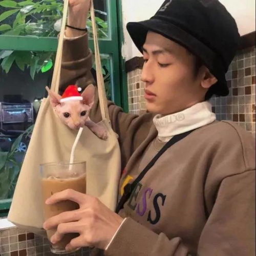  不容易发现的情侣头像