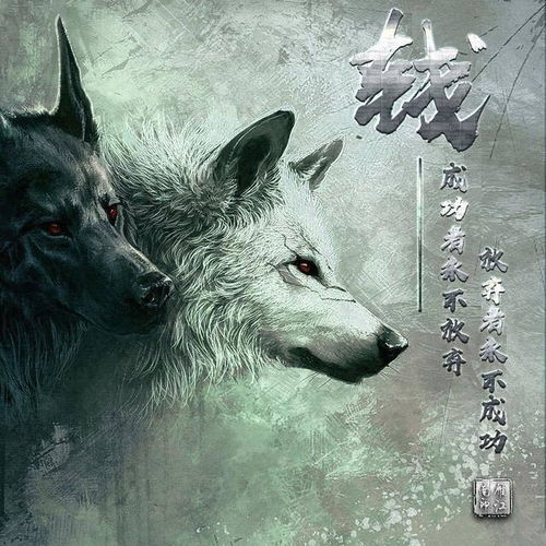 中年人微信头像狼