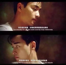  最后,我们还是熬成了陌生人