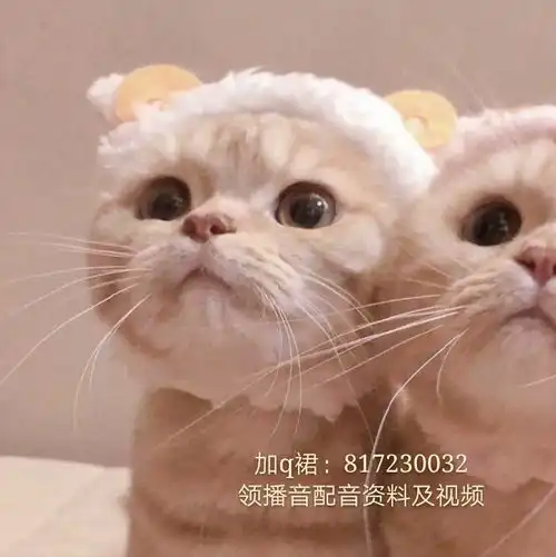  如何学习配音有五点你一定要知道