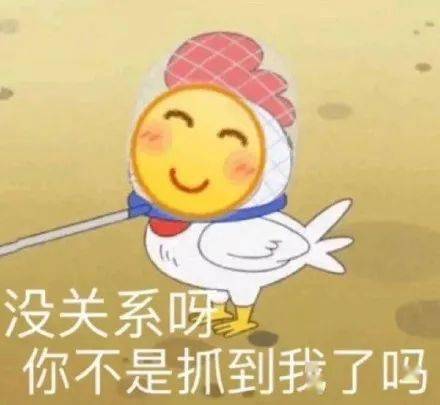  又到了存表情包的快乐时间