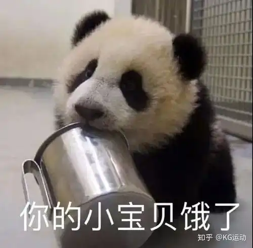 多吃不如会吃水果代餐靠谱吗