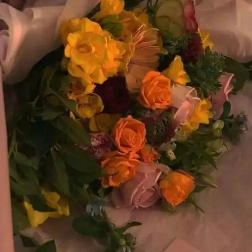 网易云热评海绵宝宝问派大星我不在的时候你干什么啊派大星  网易云热评海绵宝宝问派大星我不在的时候你干什么啊派大星