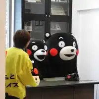  熊本熊可爱头像无字版日本熊本熊头像