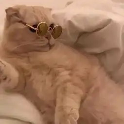  情侣头像能和你在一起就是童话故事