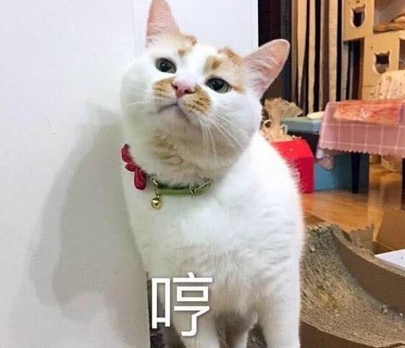  情侣之间亲亲抱抱举高高已经过时,女神更喜欢这4个动作