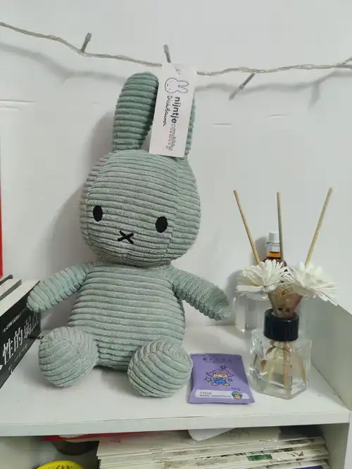  给猫戴眼镜拍照打扰了