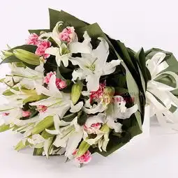  时尚鲜花网美丽如花,时尚鲜花网,手机版手机版