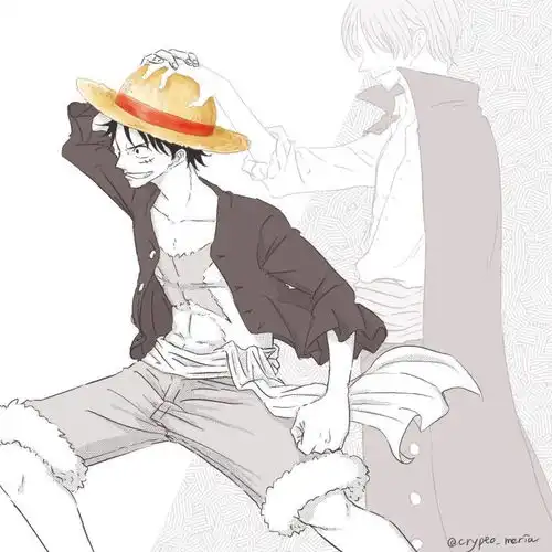  海贼王头像托付的意志