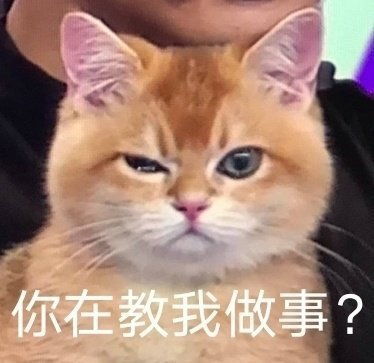  沙雕表情包l头像是我你不满意