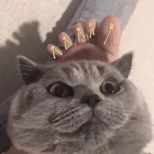  朋友圈里那些可爱到爆炸的优质文案生活不易,猪猪叹气