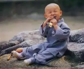  准备抛出,拿个红包,红包赚红包