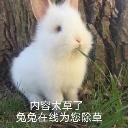  十一国庆岱山交通指南出炉,来了解一下