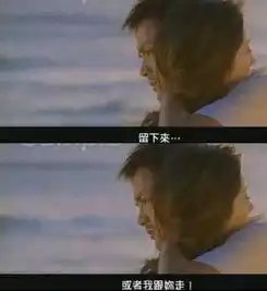  情人节别闹我要回家过年的