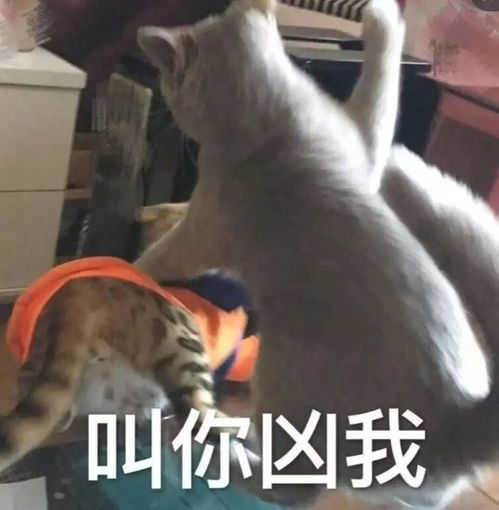  吵架时发现男朋友是对的怎么办当然是反客为主了哈哈哈