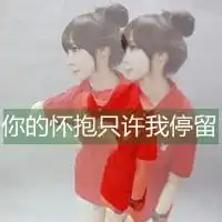  求这个头像带情侣谢谢