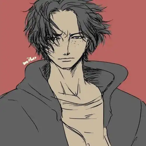  海贼王头像艾斯来了