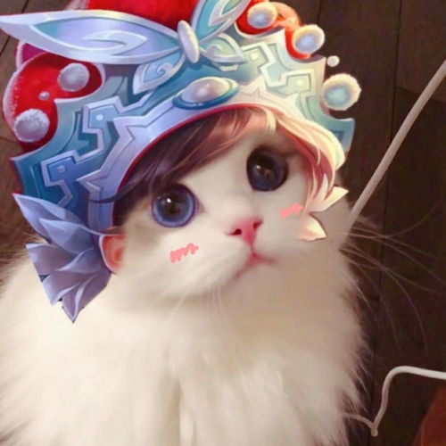  组团头像交渊博有,如读书名交风雅友,如读诗歌二