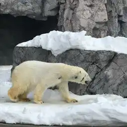  北海道浪漫情人节之旅