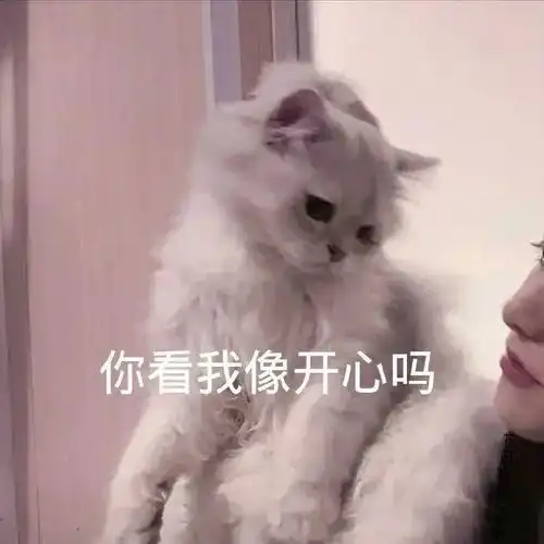  表情包有艺有茅屋