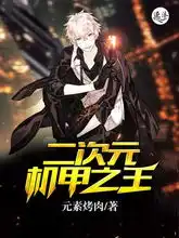  二次元机甲之王