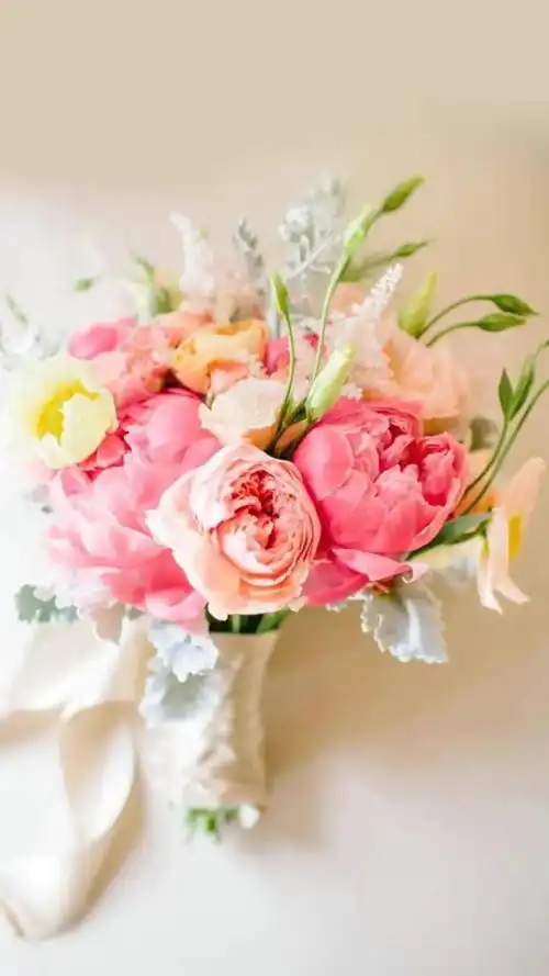 自然的旋律,自然的爱,自然的诗 自然的旋律,自然的爱,自然的诗