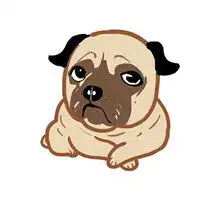 我叫单身狗凄凉单身狗头像 我叫单身狗凄凉单身狗头像