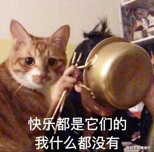  沙雕表情包图片你到底做不做我男朋友