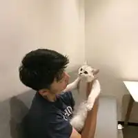  高清一男一女抱着猫的情侣头像微信头像图片大全