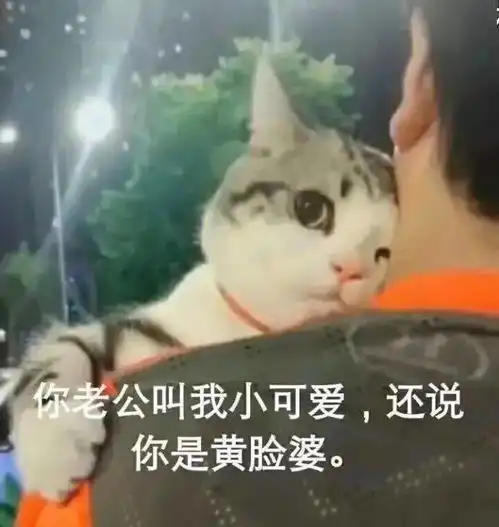  给爷整笑了