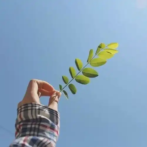 人不瞎想,心就不烦 人不瞎想,心就不烦