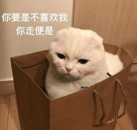  表情包沙雕表情包640期