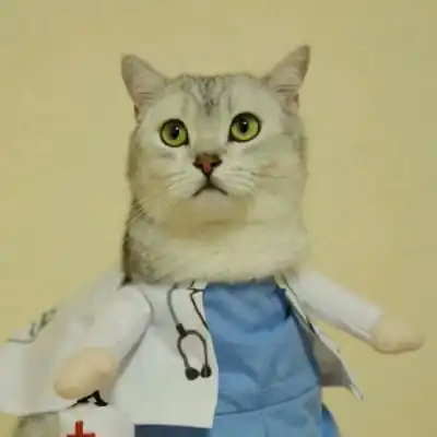 头像猫咪图片情侣头像蓝